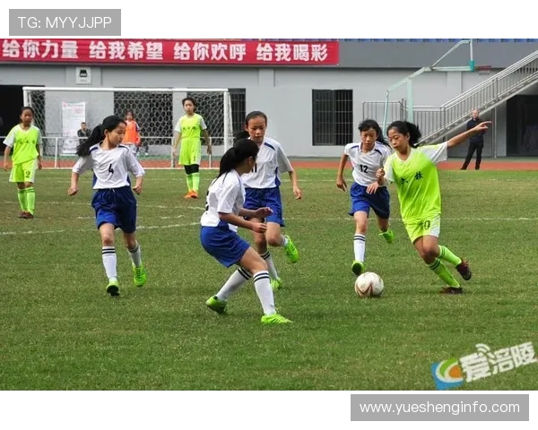 重庆乒乓球队总决赛状态分析与表现评估的深度探讨