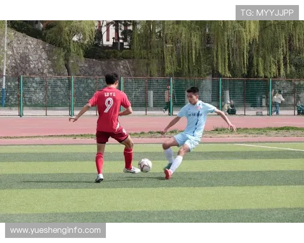 丹凤足球明星的崛起与成就探秘以及对中国足球的影响分析